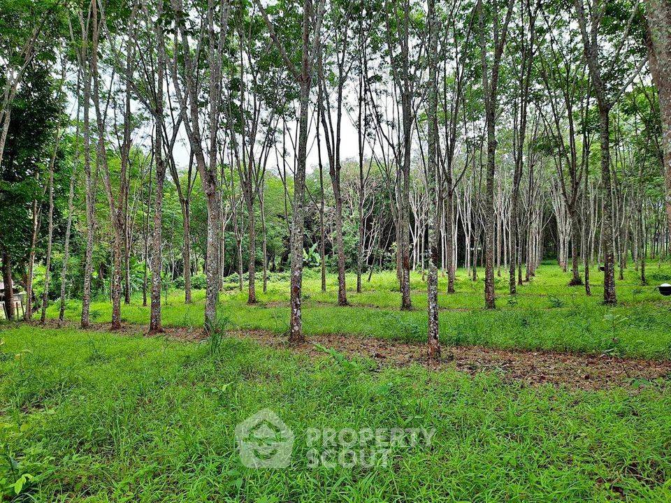 รูป ที่ดินสำหรับปล่อยขาย 5,965.2 ตารางเมตร แถว ใน ถลาง (ID 1558625) - รูปที่ 1/4