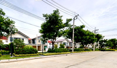 Houses for sale Bangkok : 🔥Habitia Proud Prachauthit 72📲061-6161426, 065-4496399 | 🟢Line: @wsrcondo 