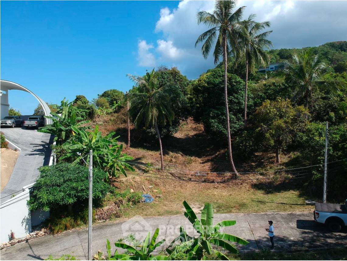 รูป ที่ดินสำหรับปล่อยขาย 1,676 ตารางเมตร แถว ใน บ่อผุด (ID 1501657) - รูปที่ 9/17