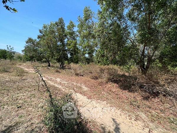 รูป ที่ดินสำหรับปล่อยขาย 3,880 ตารางเมตร แถว ใน ชะอำ (ID 1158319) - รูปที่ 3/6