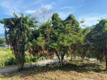 รูป ที่ดิน 1.5 ไร่ซีวิวในราไวย์ (ID 1063411) - รูปที่ 3/19