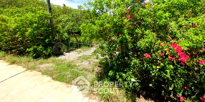 ที่ดิน ประจวบคีรีขันธ์ : ที่ดินสำหรับปล่อยขาย 23,736 ตารางเมตร แถว ใน ศิลาลอย (ID 1443973)