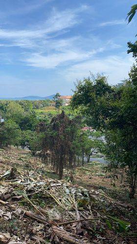 รูป ที่ดิน 1.5 ไร่ซีวิวในราไวย์ (ID 1063411) - รูปที่ 16/19