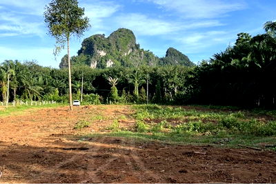 Land for sale Krabi : [920281015-748] Serene Krabi Land: Tranquility Awaits!