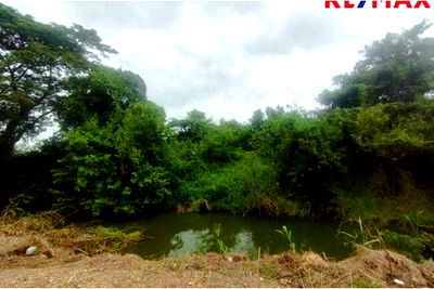 Land for sale Pathumthani : [920091021-115] Prime Residential Land in Thailands Heart