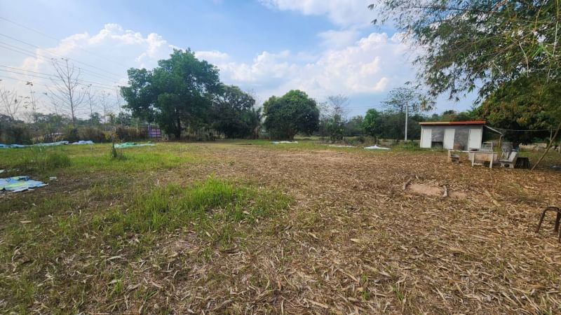 picture Land for Sale in Pak Phli District, Nakhon Nayok Size: 4 Rai 41.9 Sq.W. Road frontage: It is located on Highway 3288. 68 meters | Depth: 134 meters - 5/12
