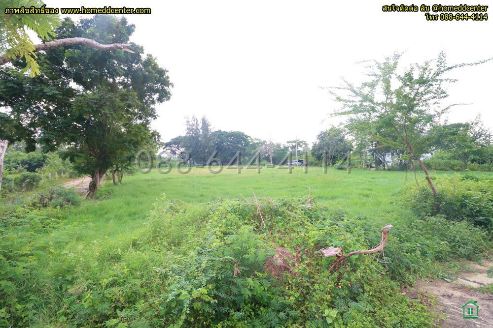 picture 300 sq. wah Sea-Near Plot in Phetchaburi — Close to Chao Samran & Puek Tian Beaches - 8/12