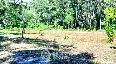 ที่ดิน ถลาง ภูเก็ต : ที่ดินสำหรับปล่อยขาย 2,400 ตารางเมตร แถว ใกล้ ป่าคลอก (ID 1432790)