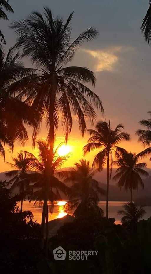 รูป วิลล่า 2-ห้องนอน ใกล้ เกาะมะพร้าว (ID 1359841) - รูปที่ 15/21