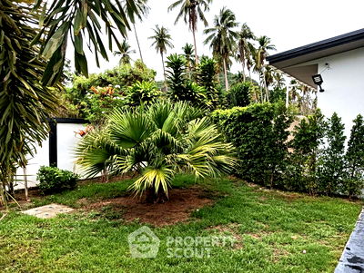 ที่ดิน ประจวบคีรีขันธ์ : ที่ดินสำหรับปล่อยขาย 800 ตารางเมตร แถว ใน ธงชัย (ID 1522821)