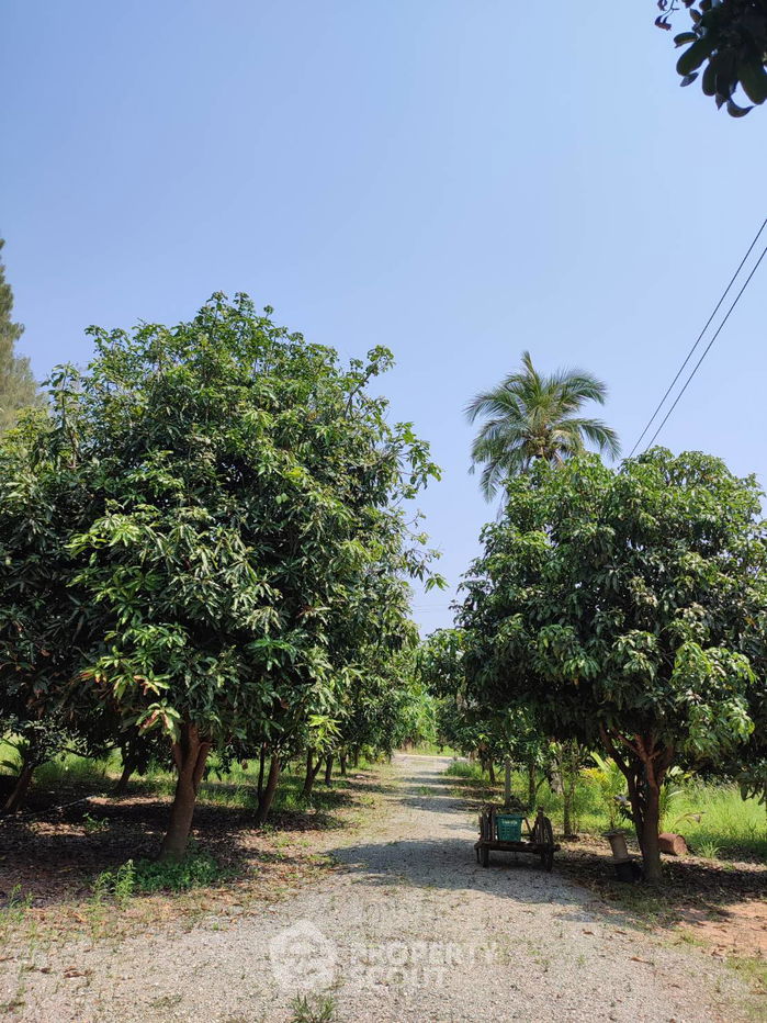 picture 23,736 m² Land for Sale in Sila Loi (ID 1443973) - 5/7