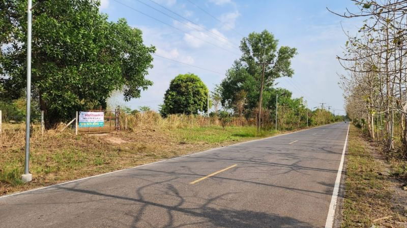 picture Land for Sale in Pak Phli District, Nakhon Nayok Size: 4 Rai 41.9 Sq.W. Road frontage: It is located on Highway 3288. 68 meters | Depth: 134 meters - 3/12
