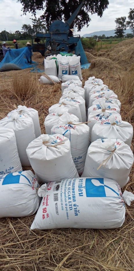 รูป ขายที่ดิน 8 ไร่  ยกแปลง 1,000,000 บาท ต.นากอก อ.ศรีบุญเรือง จ.หนองบัวลำภู - รูปที่ 5/6