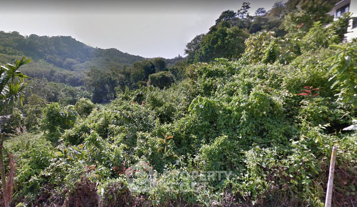 รูป ที่ดิน 1.5 ไร่ซีวิวในราไวย์ (ID 1063411) - รูปที่ 18/19