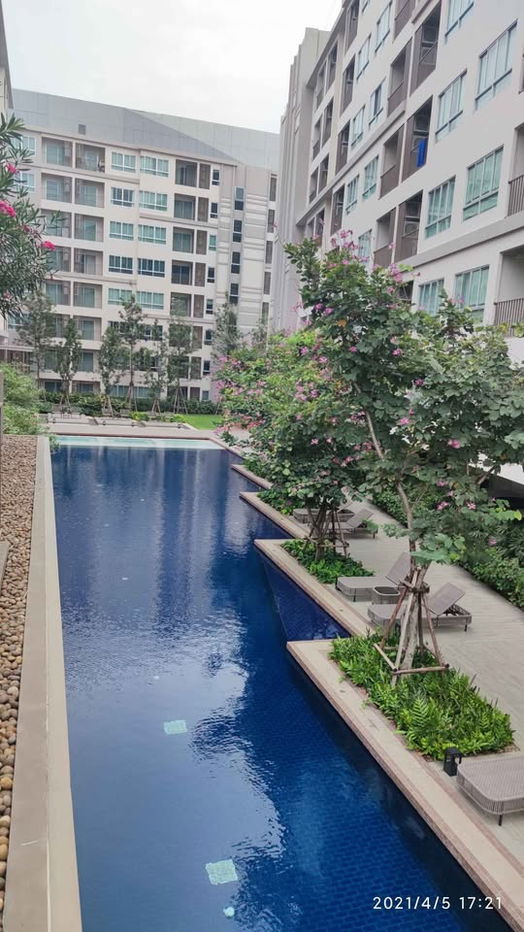 รูป ปล่อยเช่า D Condo Rin คอนโดติดเซ็นทรัลเฟสติวัลเชียงใหม่ - รูปที่ 9/11