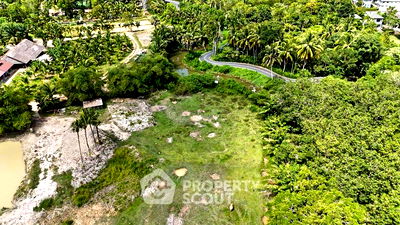 ที่ดิน ถลาง ภูเก็ต : ที่ดินสำหรับปล่อยขาย 4,800 ตารางเมตร แถว ใน เทพกระษัตรี (ID 1504771)