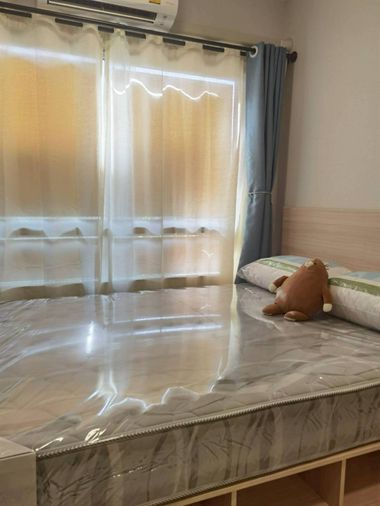 🏡 ให้เช่า Plum Alive 2💖 ✨ ตึก C ชั้น 5 วิวสระ