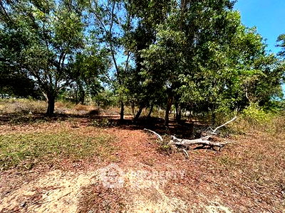 ที่ดิน ม.ราชภัฏสวนดุสิต หัวหิน : ที่ดินสำหรับปล่อยขาย 3,880 ตารางเมตร แถว ใน ชะอำ (ID 1158319)