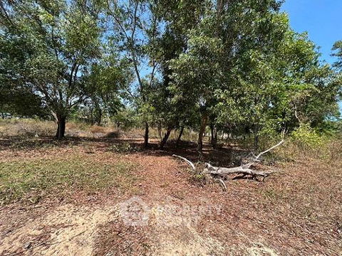 ที่ดินสำหรับปล่อยขาย 3,880 ตารางเมตร แถว ใน ชะอำ (ID 1158319)