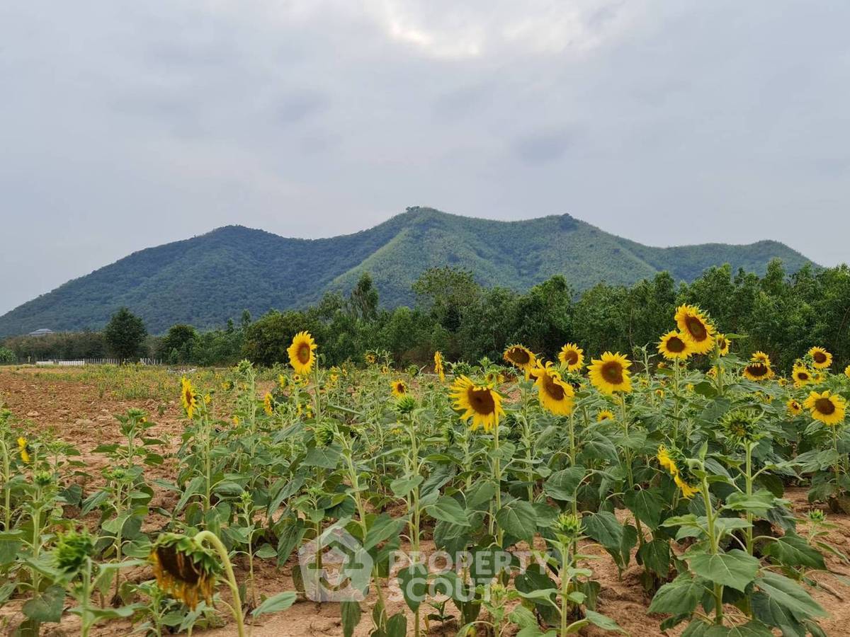 รูป ที่ดินสำหรับปล่อยขาย 9,600 ตารางเมตร แถว ใกล้ โครงการชั่งหัวมัน ตามพระราชดำริ (ID 1498828) - รูปที่ 5/5