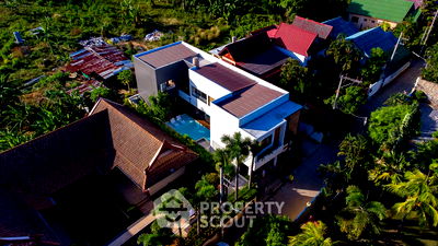 บ้านเดี่ยว ภูเก็ต : วิลล่า 4-ห้องนอน ที่ โปรเจกท์ เอ็กซ์ วิลล่า ใน ราไวย์ (ID 1554994)