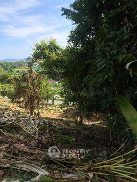 รูป ที่ดิน 1.5 ไร่ซีวิวในราไวย์ (ID 1063411) - รูปที่ 5/19