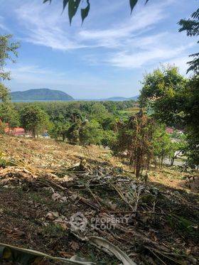 รูป ที่ดิน 1.5 ไร่ซีวิวในราไวย์ (ID 1063411) - รูปที่ 10/19