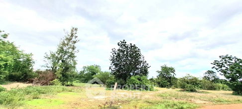 ที่ดินสำหรับปล่อยขาย 9,576 ตารางเมตร แถว ใน ทับใต้ (ID 1513400)