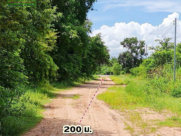 picture Beautiful plot of land for a garden house, natural style, near a pond (with water all year round), Phra Yuen District, Khon Kaen Province - 3/6