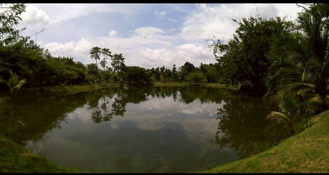 รูป (H8016) ขายที่ดินสวนป่า 17 ไร่ – ราคาต่ำกว่าตลาดเกือบครึ่ง! อ.เขาฉกรรจ์ จ.สระแก้ว - รูปที่ 5/8