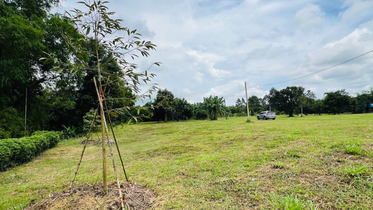 รูป ขายที่ดินสวย ติดน้ำ พร้อมผลไม้ – ต.นาหินลาด อ.ปากพลี จ.นครนายก - รูปที่ 8/9