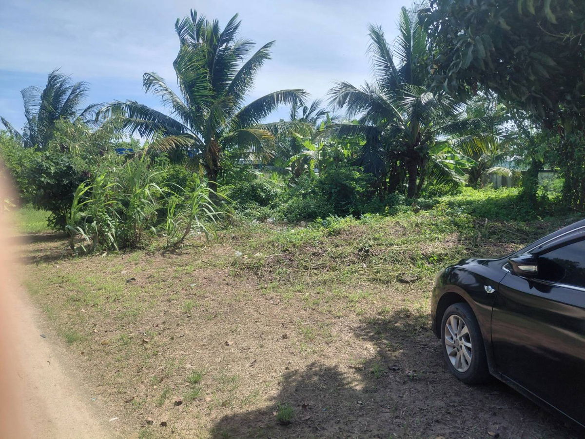 รูป ขายด่วน! ที่ดิน พร้อมสิ่งปลูกสร้าง ติดถนนอ่าวอุดม-ปากร่วม ต.บึง อ.ศรีราชา ชลบุรี - รูปที่ 4/13