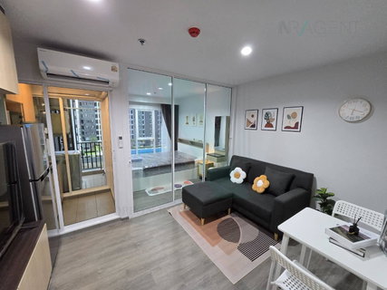 รูปภาพ For Rent Condo REGENT HOME BANGNA Building D, Floor 8,1 bed room, Room size 28.00 sqm