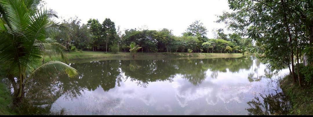 รูป (H8016) ขายที่ดินสวนป่า 17 ไร่ – ราคาต่ำกว่าตลาดเกือบครึ่ง! อ.เขาฉกรรจ์ จ.สระแก้ว - รูปที่ 6/8