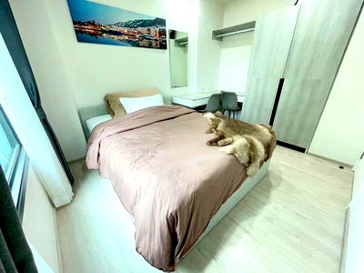 Condos for rent 700 Year Sports Arena Chiang Mai : 🎊✨ Beautiful Room for Rent! Escent Park Ville Chiang Mai – Next to Central Festival