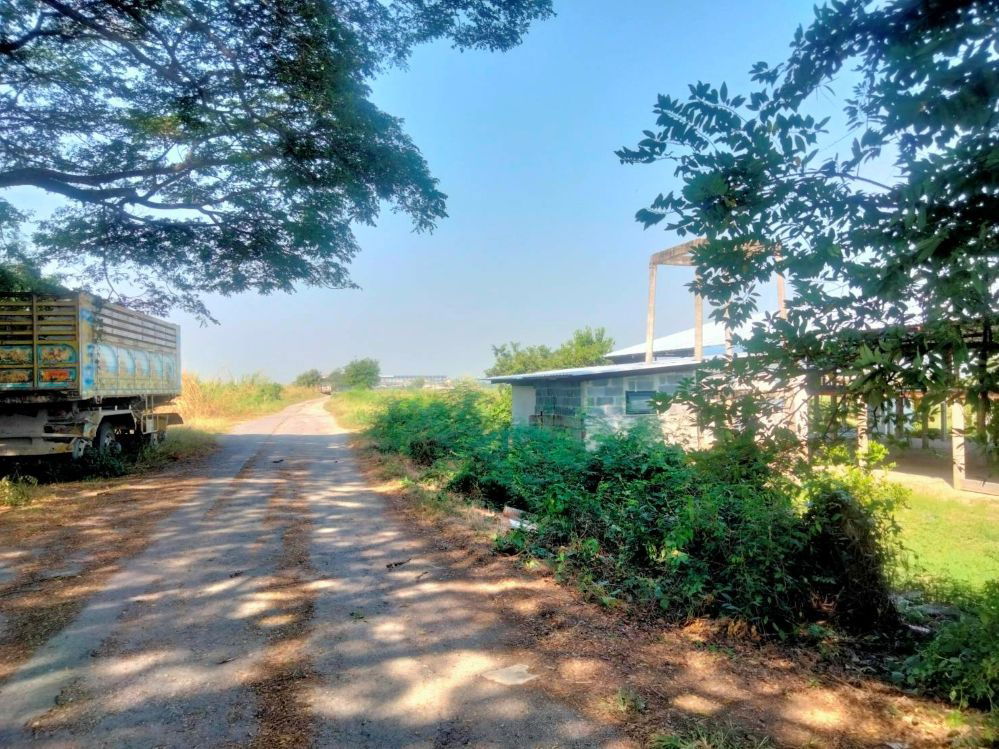 รูป ให้เช่าพื้นที่เป็นอาคารเปิดโล่ง 250 ตร.ม. พร้อมบ้านเดี่ยว 1 หลัง อยู่ท่ามกลางสวนไร่นา บรรยากาศดีมาก ตำบลดอนพุด สระบุรี - รูปที่ 7/8