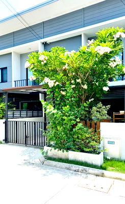 ทาวน์โฮม สมุทรปราการ : ขายทาวน์เฮ้าส์ เดอะคัลเลอร์ บางนา วงแหวน 4