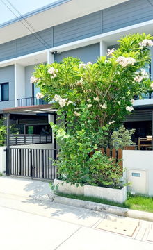 ขายทาวน์เฮ้าส์ เดอะคัลเลอร์ บางนา วงแหวน 4