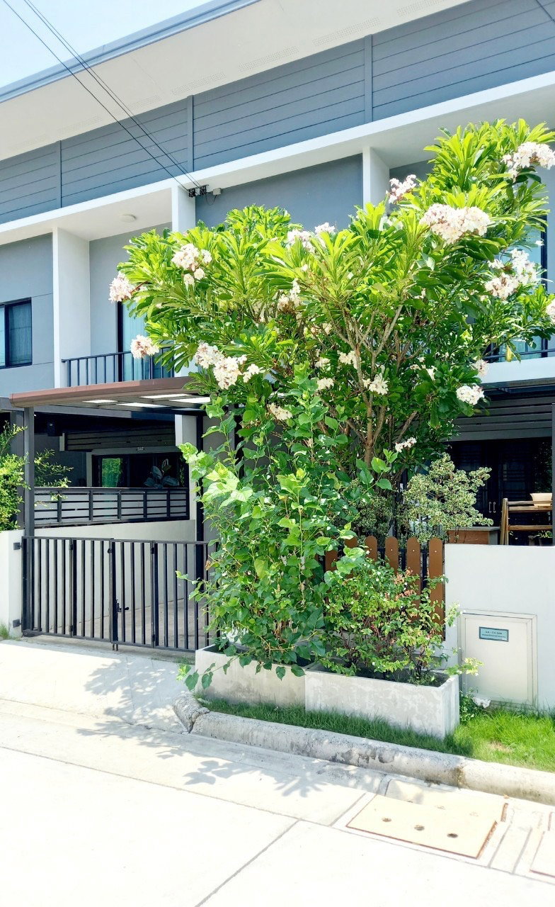 ขายทาวน์โฮม : ขายทาวน์เฮ้าส์ เดอะคัลเลอร์ บางนา วงแหวน 4