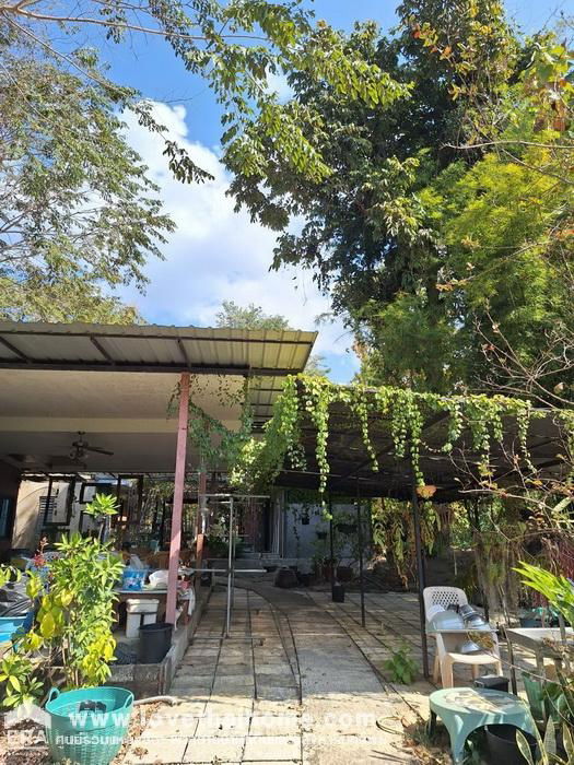 รูป ที่ดินเนื้อที่ 3ไร่+พร้อมบ้าน3หลัง,1เรือนรับรอง พะเยา ภูซาง ธรรมชาติบรรยากาศดี ใก้ลพระธาตุภูซาง ด้านหลังติดลำธาร พักผ่อนรับรองญาติมิตร ร้านคาเฟ่ริมธาร - รูปที่ 3/9