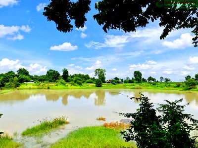 Land for sale Khon Kaen : Beautiful plot of land for a garden house, natural style, near a pond (with water all year round), Phra Yuen District, Khon Kaen Province