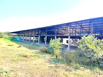 เช่าพื้นที่ขายของ สระบุรี : ให้เช่าพื้นที่เป็นอาคารเปิดโล่ง 250 ตร.ม. พร้อมบ้านเดี่ยว 1 หลัง อยู่ท่ามกลางสวนไร่นา บรรยากาศดีมาก ตำบลดอนพุด สระบุรี