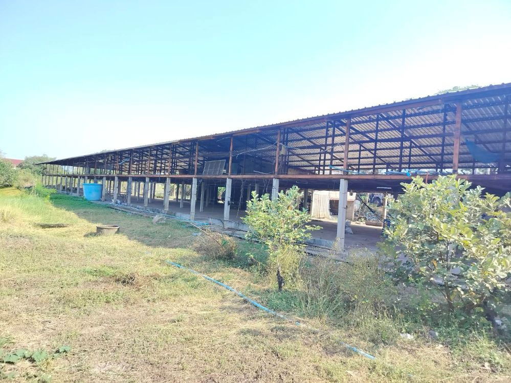 รูป ให้เช่าพื้นที่เป็นอาคารเปิดโล่ง 250 ตร.ม. พร้อมบ้านเดี่ยว 1 หลัง อยู่ท่ามกลางสวนไร่นา บรรยากาศดีมาก ตำบลดอนพุด สระบุรี - รูปที่ 1/8