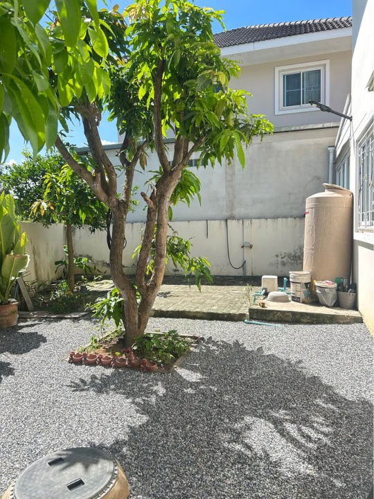 picture Two storey house for rent with 3 bedrooms,3 toilets and 1 kitchen. - 15/16