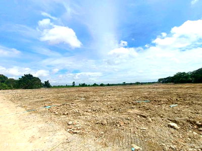 Land for sale Assumption University Bang Na Campus : LAND for sale  Bang Bo Bang Bo Samut Prakarn