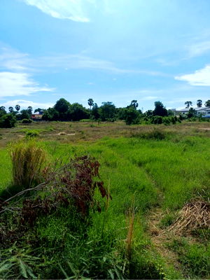 Land for sale Chonburi : Land for sale  Amata Chon Buri