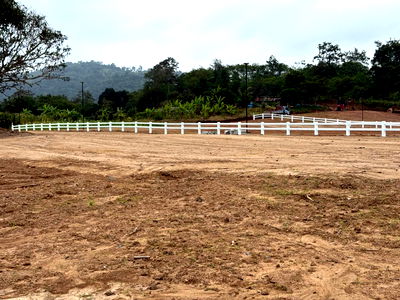 Land for sale Pak Chong Nakhon Ratchasima : Mountain-view land for sale, Khao Yai. Affordable price. Only 3 plots left. Located in Khanong Phra, Pak Chong, 13.40 km from Mittraphap Road