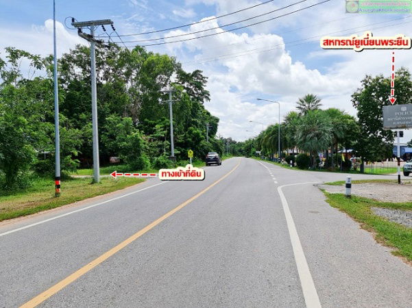 picture Beautiful plot of land for a garden house, natural style, near a pond (with water all year round), Phra Yuen District, Khon Kaen Province - 5/6