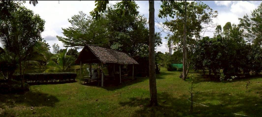 รูป (H8016) ขายที่ดินสวนป่า 17 ไร่ – ราคาต่ำกว่าตลาดเกือบครึ่ง! อ.เขาฉกรรจ์ จ.สระแก้ว - รูปที่ 2/8