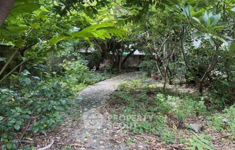 Land for sale, 231 sq wah, Bang Sue
